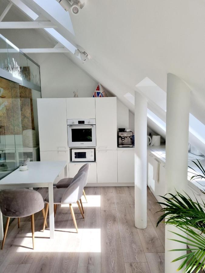קובנה Gallery Balta Apartments מראה חיצוני תמונה