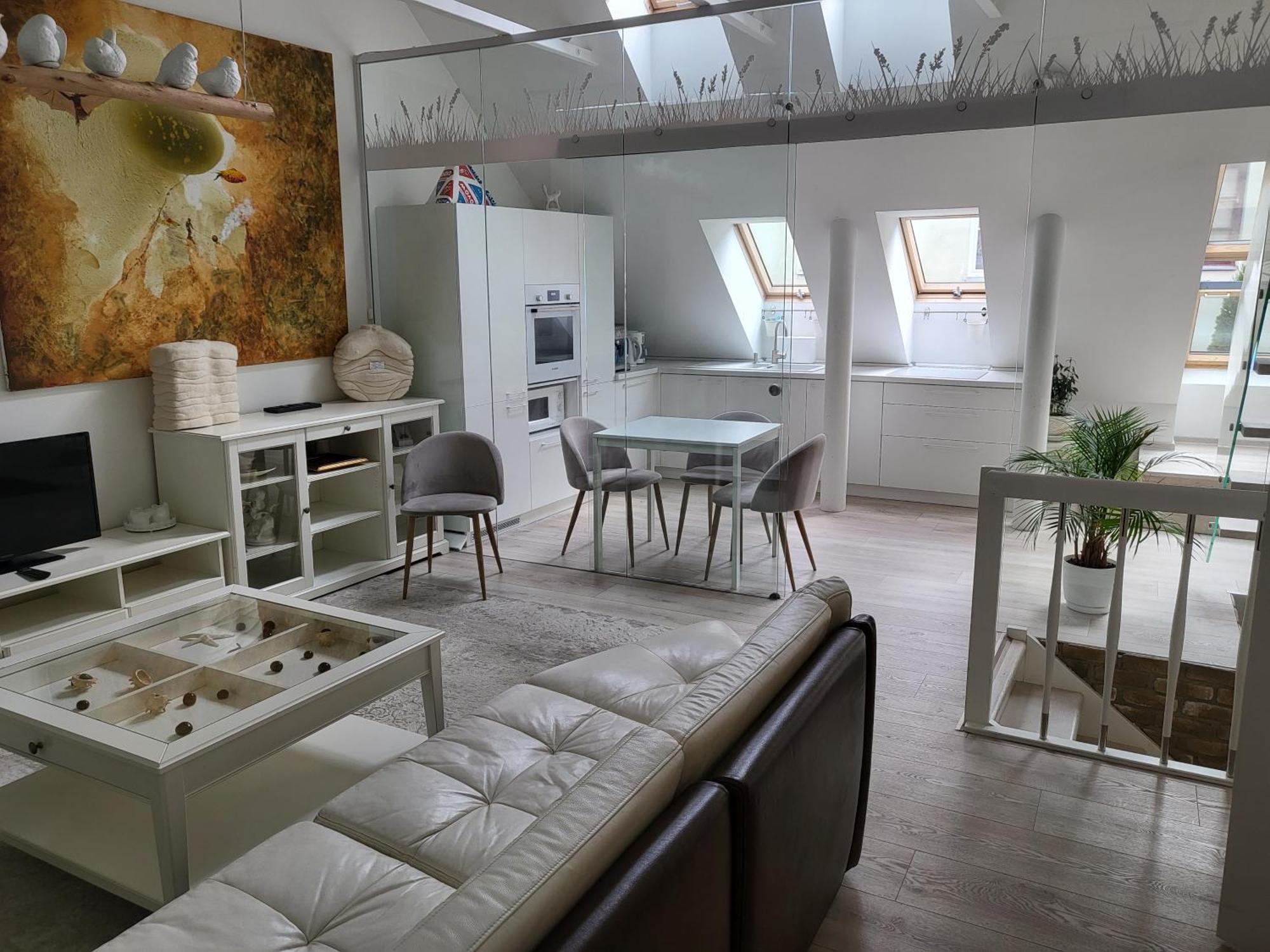 קובנה Gallery Balta Apartments מראה חיצוני תמונה